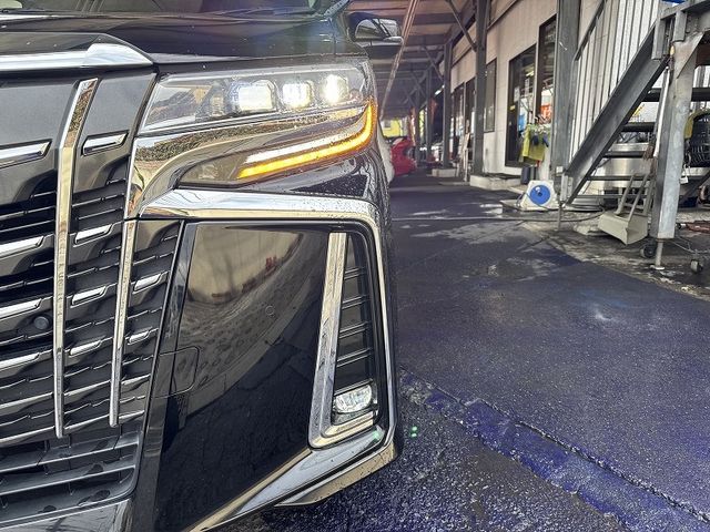 TOYOTA ALPHARD 2019 Image 31