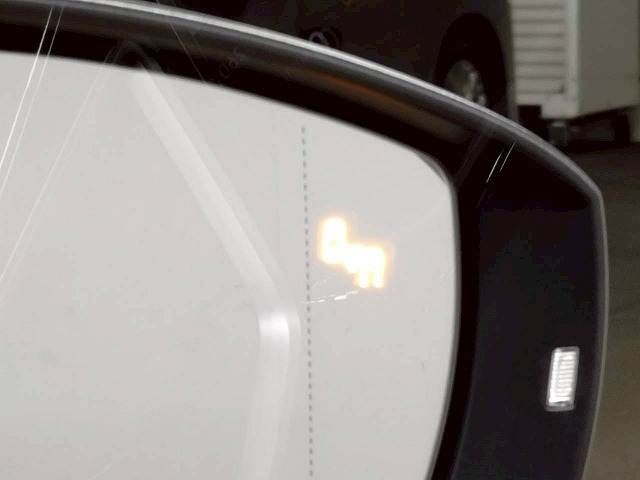 VOLKSWAGEN T-ROC 2024 Image 31