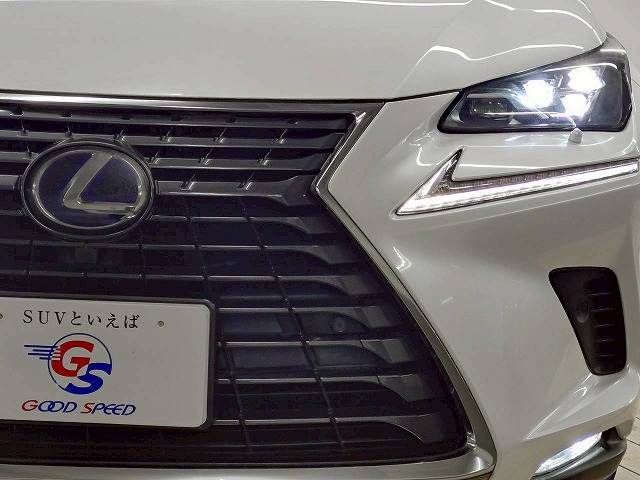 TOYOTA LEXUS NX300H 2018 Image 31