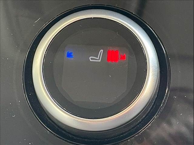 ROVER RANGE  EV 2020 Image 31