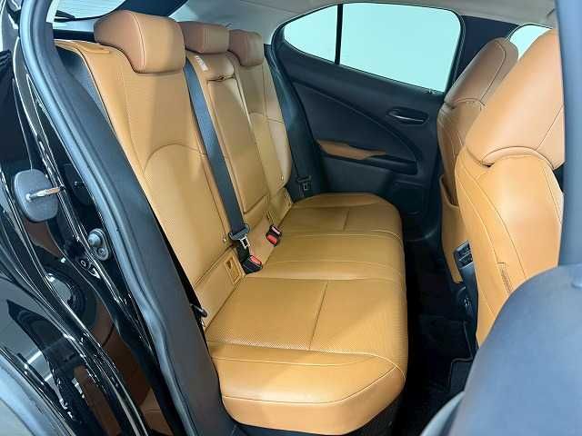 TOYOTA LEXUS UX250H 2018 Image 31