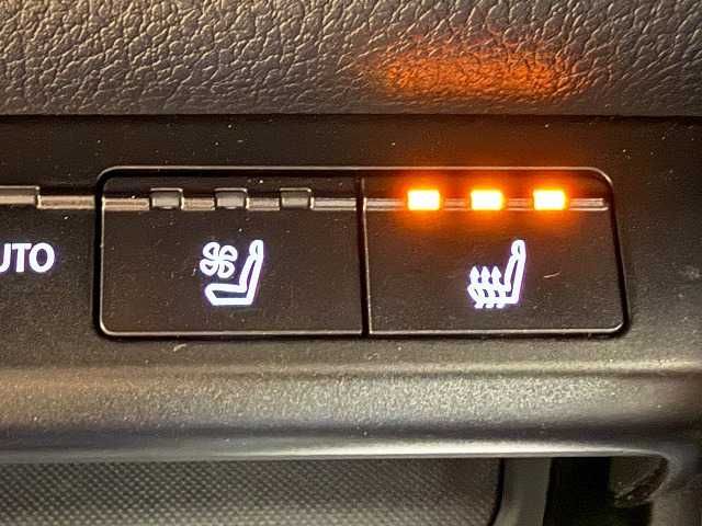 TOYOTA LEXUS UX250H 2018 Image 31