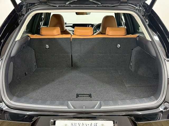 TOYOTA LEXUS UX250H 2018 Image 31