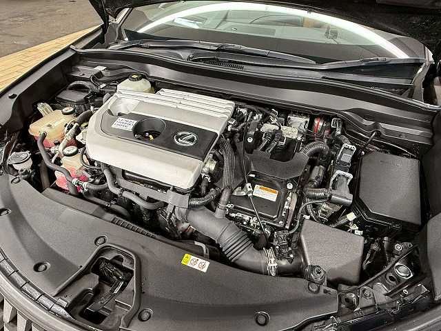 TOYOTA LEXUS UX250H 2018 Image 31