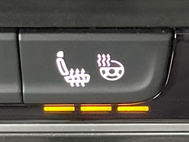 VOLKSWAGEN GOLF ALLT 2019 Image 31