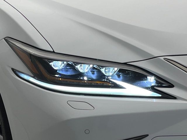 TOYOTA LEXUS ES300H 2019 Image 31