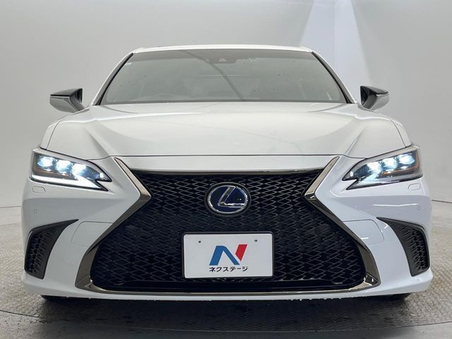 TOYOTA LEXUS ES300H 2019 Image 31