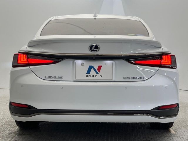TOYOTA LEXUS ES300H 2019 Image 31