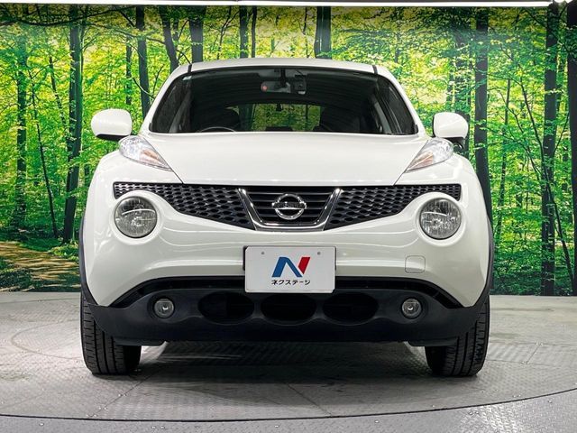 NISSAN JUKE 2010 Image 31