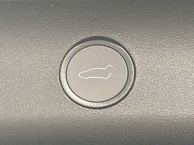 TESLA MODEL Y 2023 Image 31