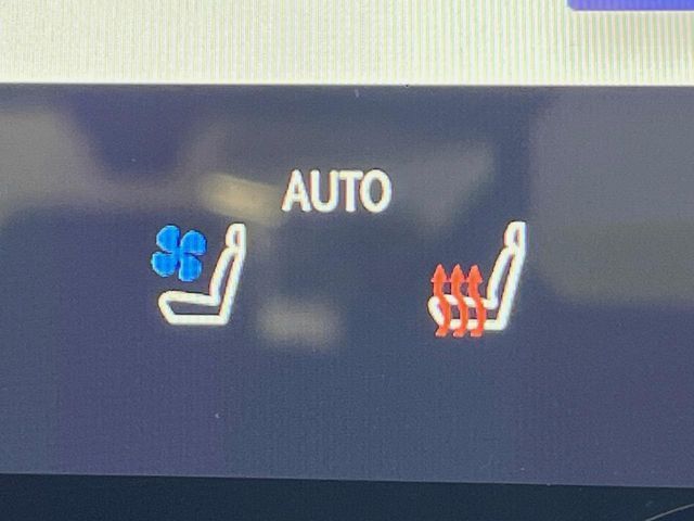 TOYOTA LEXUS NX350H AWD 2023 Image 31