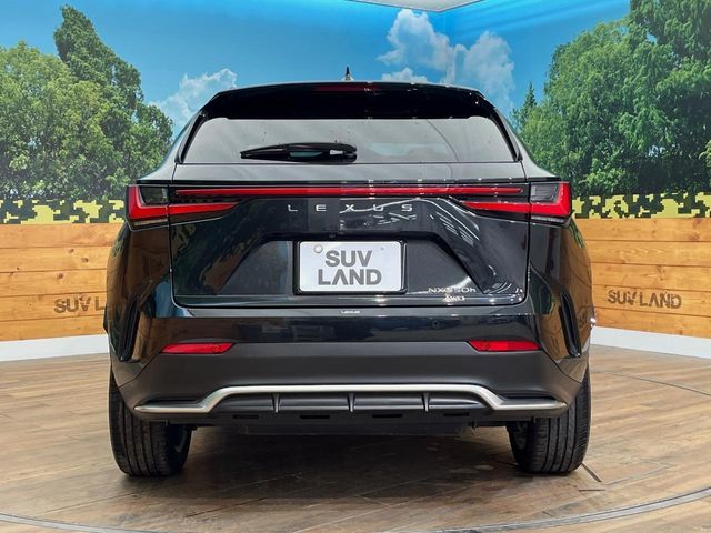 TOYOTA LEXUS NX350H AWD 2023 Image 31
