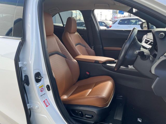 TOYOTA LEXUS UX250H 2019 Image 31