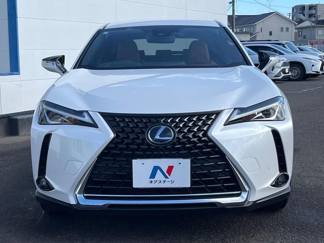 TOYOTA LEXUS UX250H 2019 Image 31