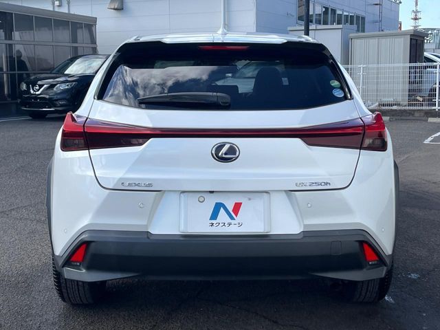 TOYOTA LEXUS UX250H 2019 Image 31