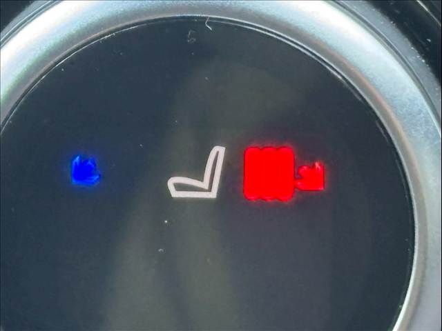 ROVER DISCOVERY SPOR 2021 Image 31