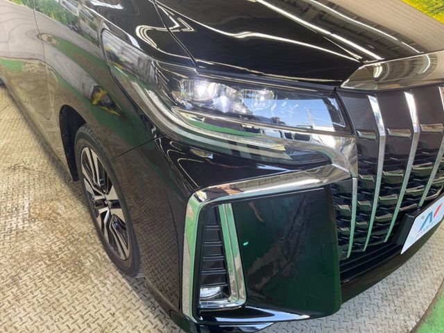 TOYOTA ALPHARD 2019 Image 31