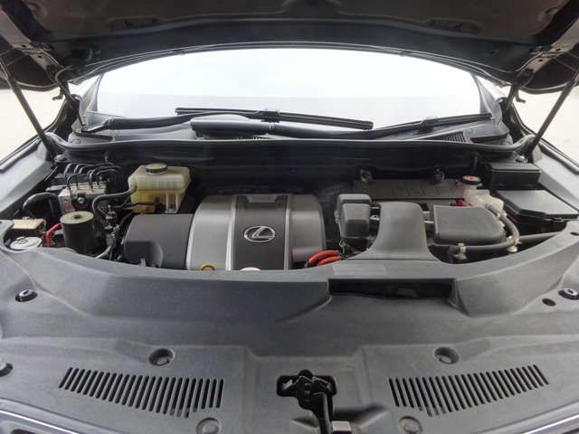 TOYOTA LEXUS RX450H AWD 2023 Image 31