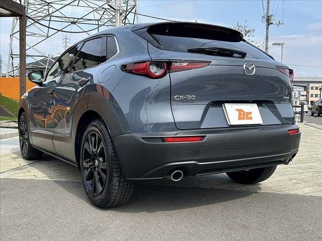 MAZDA CX-30 2021 Image 31