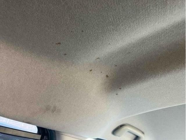 TOYOTA TANK 2018 Image 31