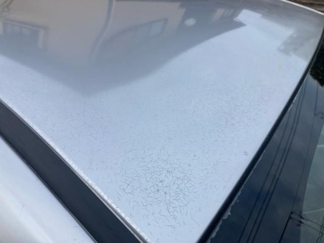 TOYOTA PRIUS 2009 Image 31