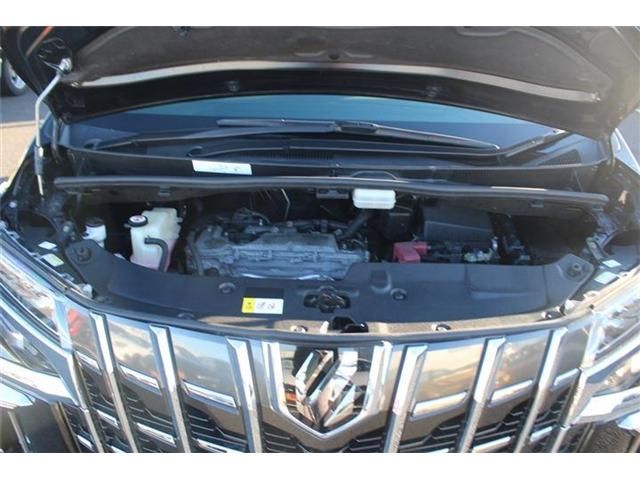 TOYOTA ALPHARD 2020 Image 31