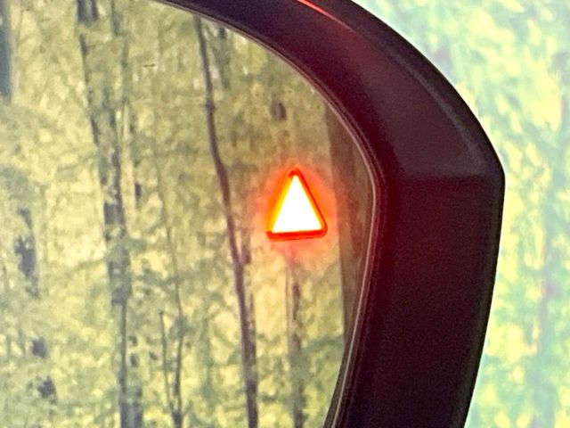 NISSAN SERENA  WG 2024 Image 31