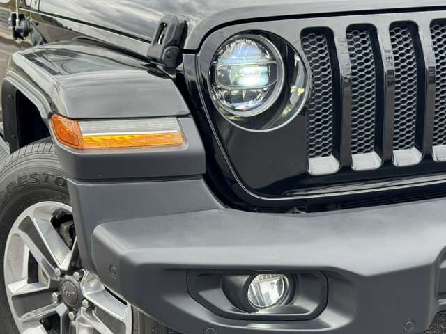 JEEP WRANGLER UNLIMI 2019 Image 31