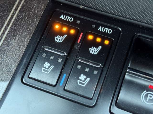 TOYOTA LEXUS RX450H AWD 2016 Image 31