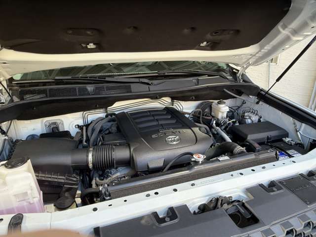 TOYOTA TANDORA 4WD 2019 Image 31