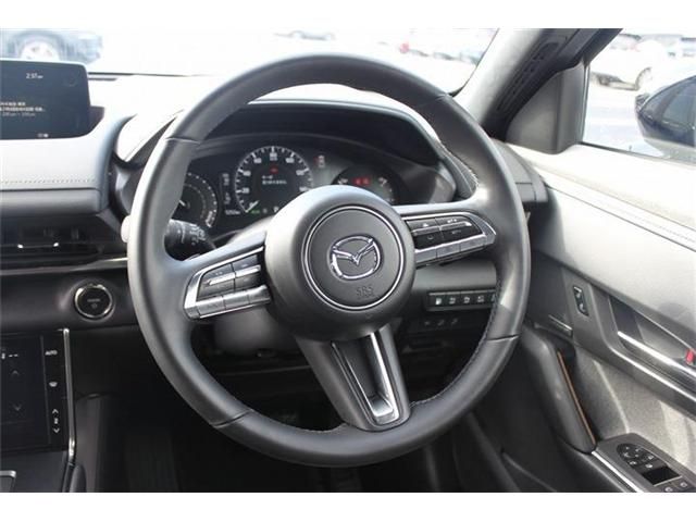 MAZDA MX-30 ROTARY-EV 2023 Image 31