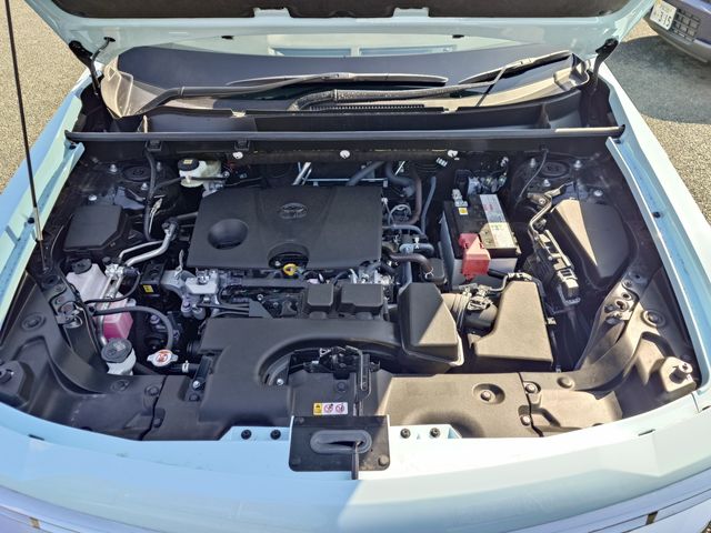 MITSUOKA BUDDY 2023 Image 31