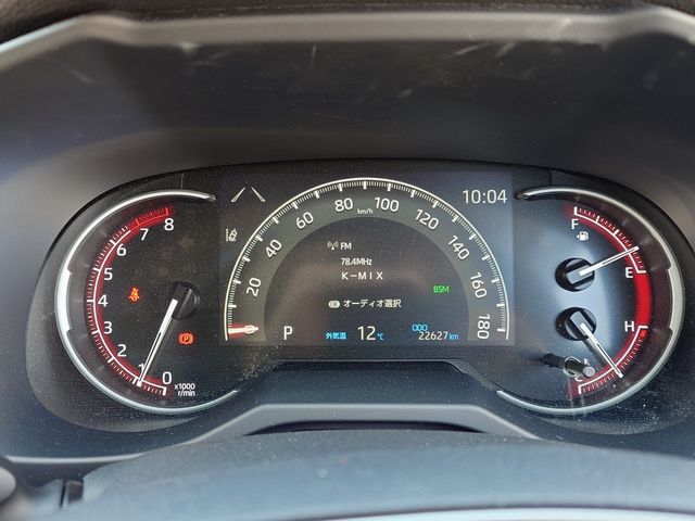 MITSUOKA BUDDY 2023 Image 31