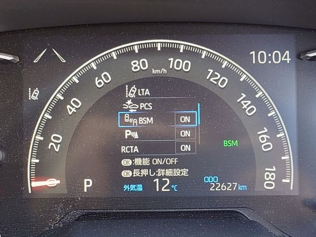 MITSUOKA BUDDY 2023 Image 31