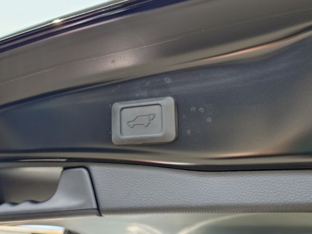 MITSUOKA BUDDY 2023 Image 31