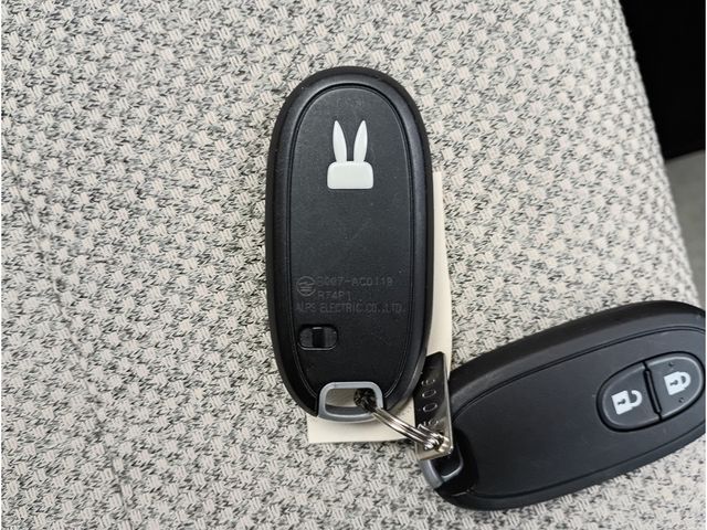 SUZUKI ALTO LAPIN 2020 Image 31