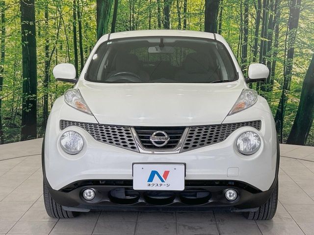 NISSAN JUKE 2012 Image 31