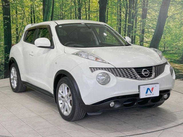 NISSAN JUKE 2012 Image 31