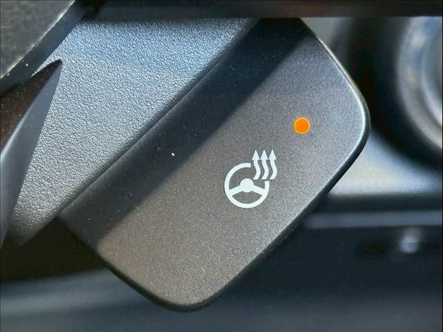 SUBARU FORESTER 2023 Image 31