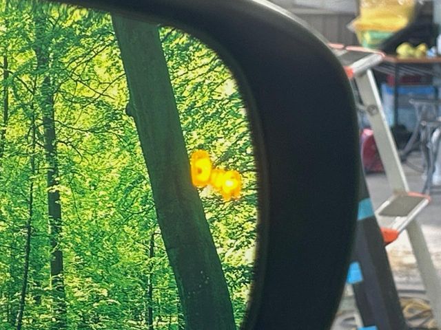 TOYOTA RAIZE HYBRID 2023 Image 31