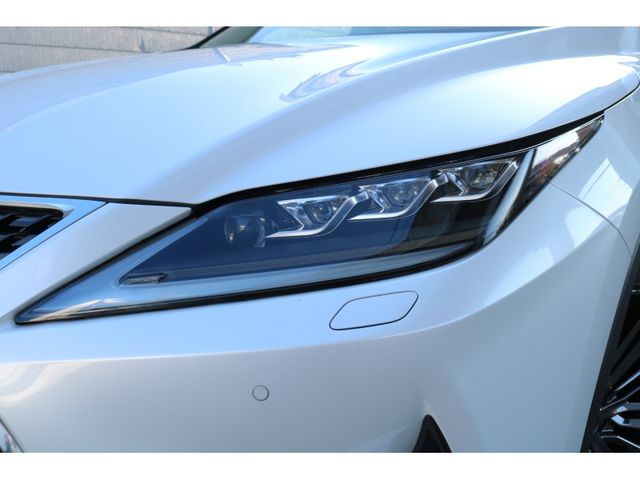 TOYOTA LEXUS RX300 2020 Image 31