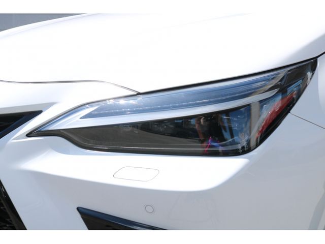 TOYOTA LEXUS NX350H 2023 Image 31