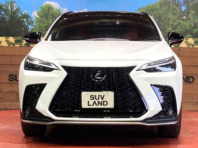 TOYOTA LEXUS NX350H 2022 Image 31