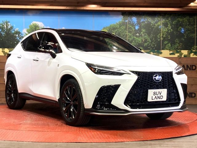 TOYOTA LEXUS NX350H 2022 Image 31