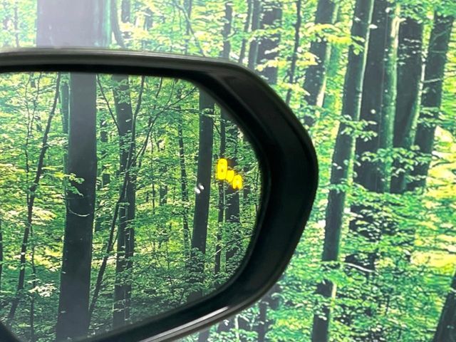 TOYOTA C-HR 2020 Image 31