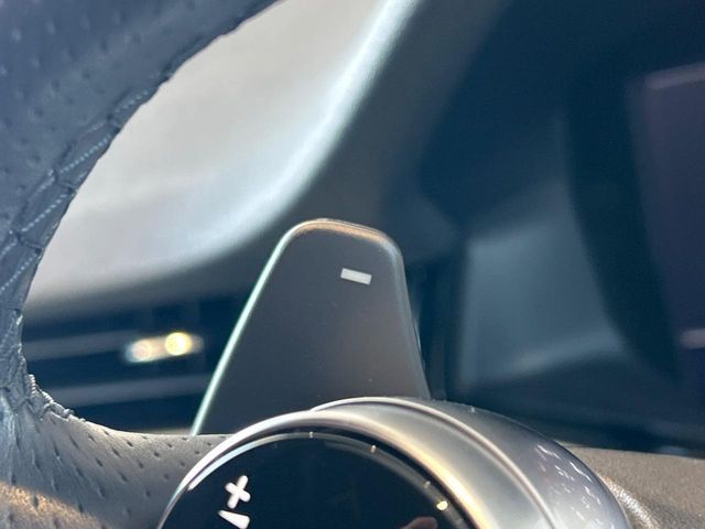 ROVER RANGE  EV 2020 Image 31