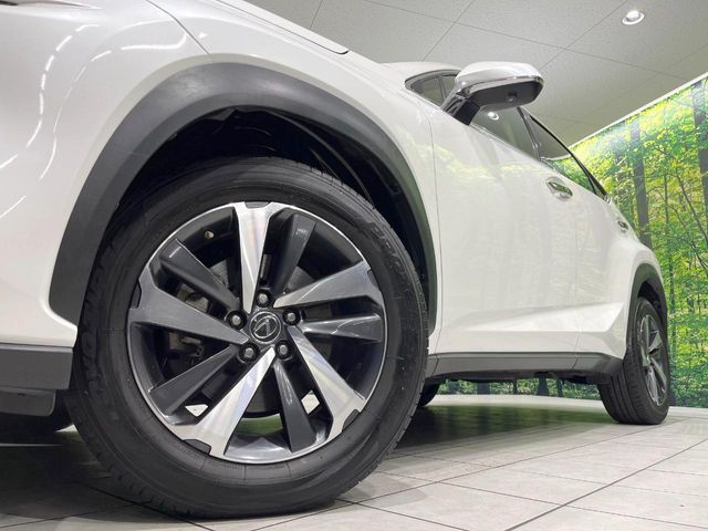 TOYOTA LEXUS NX300 2018 Image 31