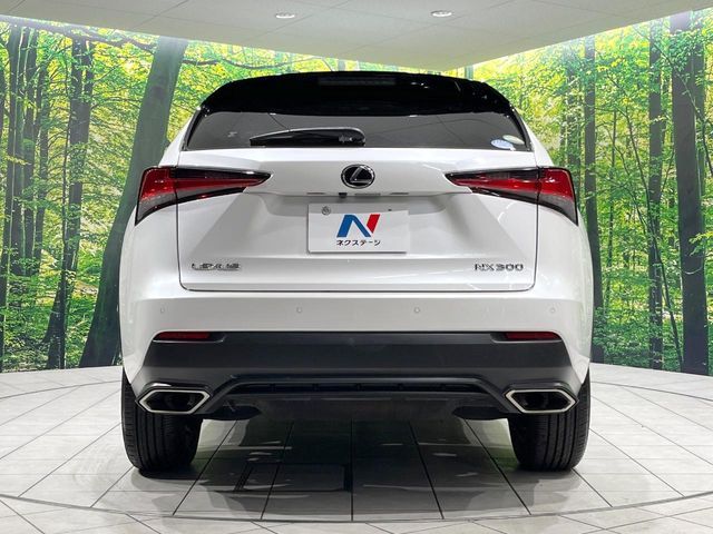 TOYOTA LEXUS NX300 2018 Image 31
