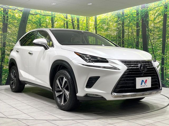 TOYOTA LEXUS NX300 2018 Image 31