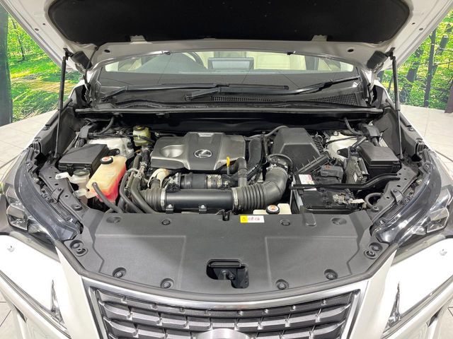 TOYOTA LEXUS NX300 2018 Image 31